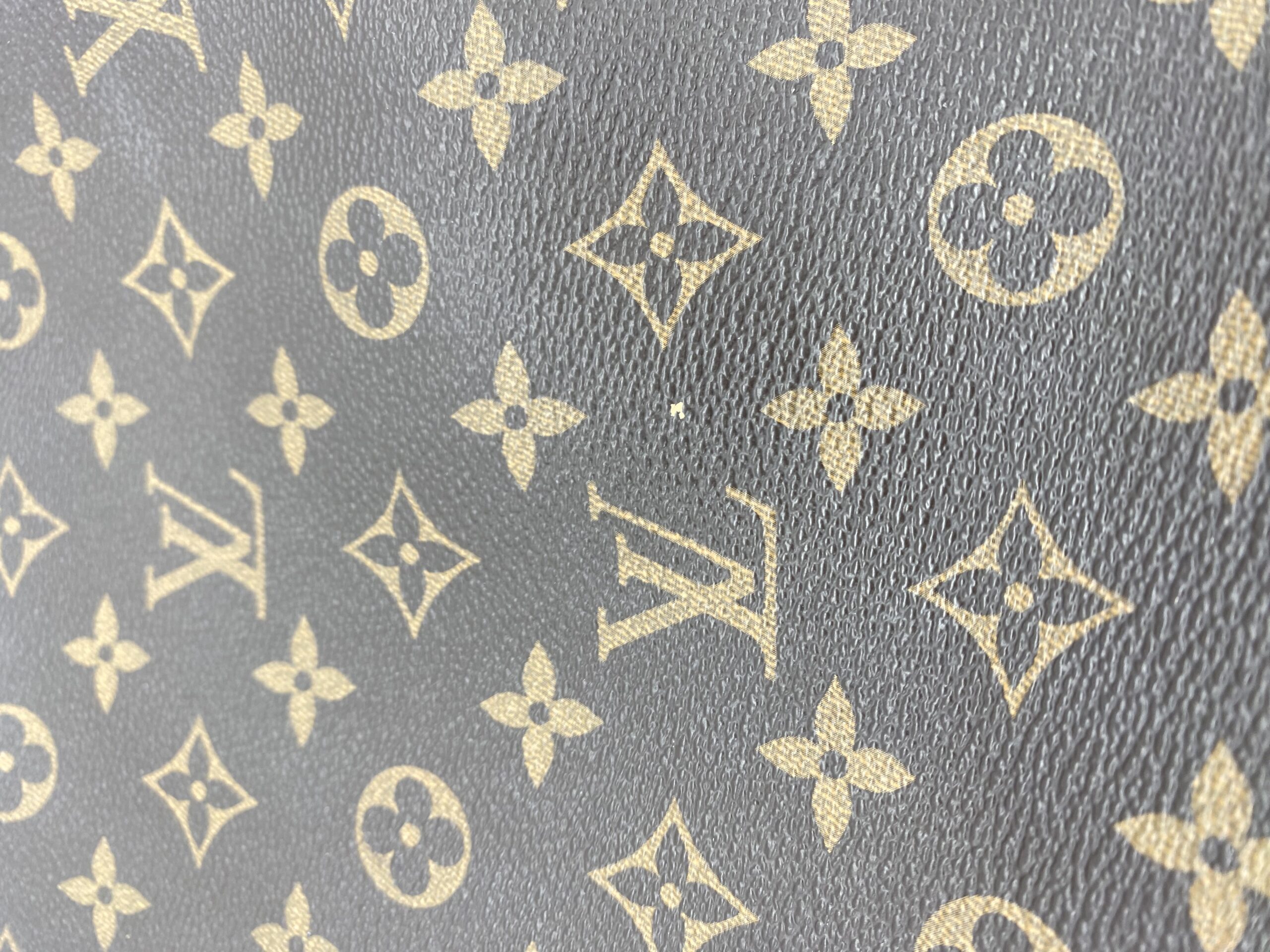borsa Louis Vuitton